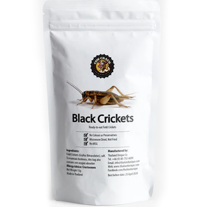 Cow Crack Black Crickets – Ready-to-Eat Snack